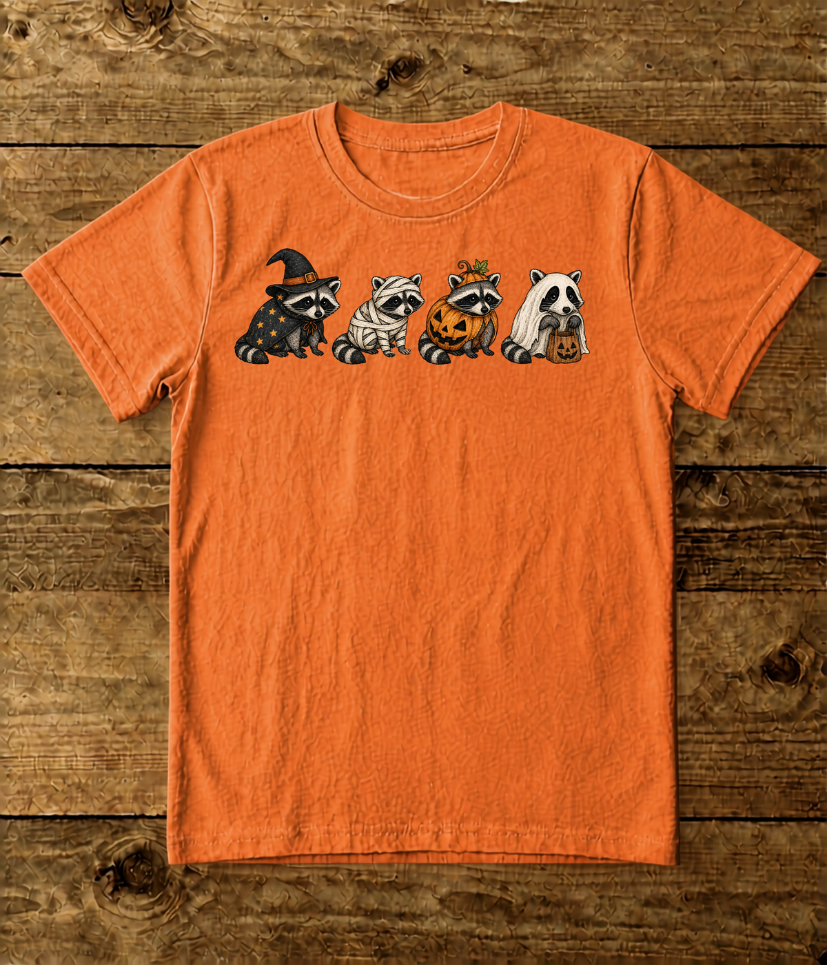 Raccoon Spooky Costume Comfort Colors T-Shirt